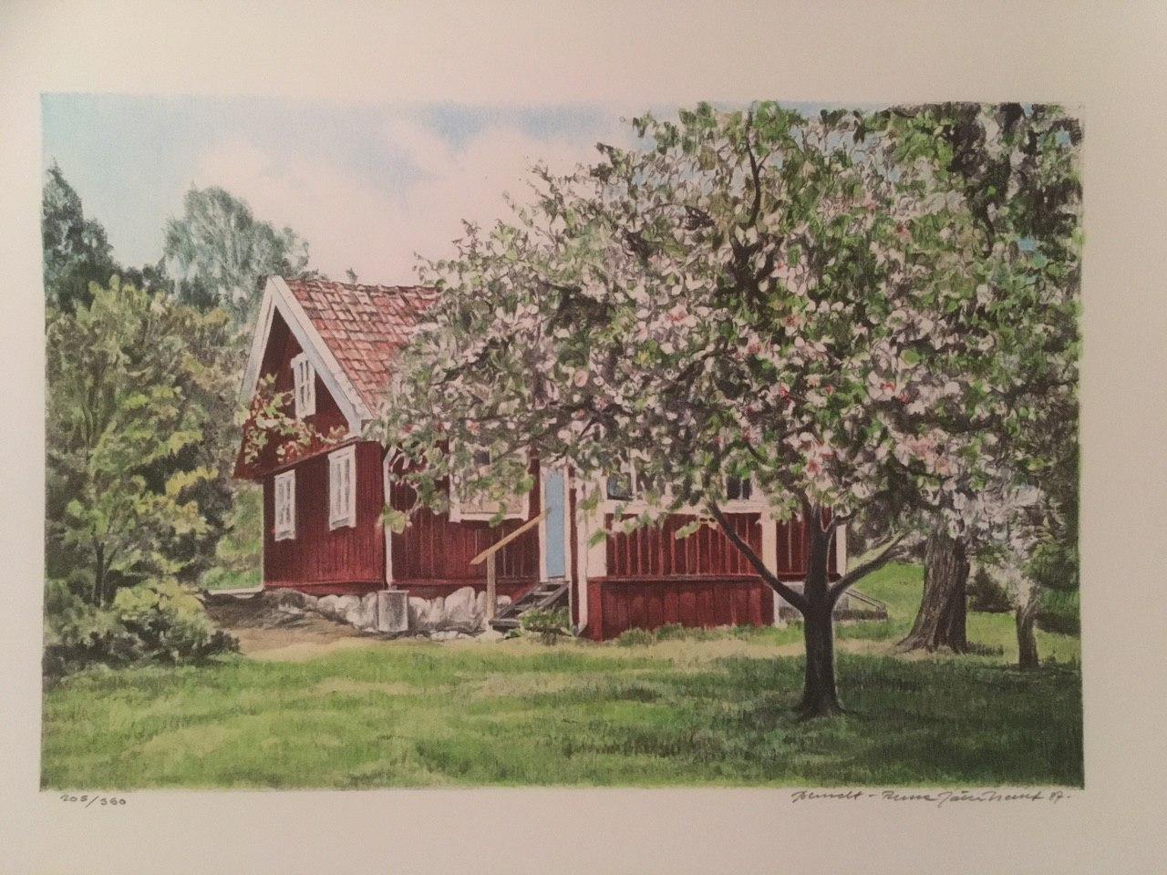 photo_2020-02-23_19-14-50